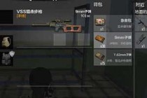 ��������ȫ������VSS�ѻ���ǹʹ�ü���