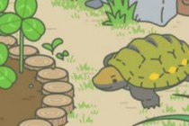 ����������ţ���ڹꡢ�۷�ϲ����ʲô ����������ô��