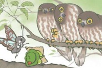 ��������SSR��Ƭ��ô��� ��������SSR��Ƭ��ȡ��ʽ