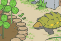 ����������ţ���ڹꡢ�۷���������ϲ����ʲô 