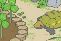 ��������SSRϡ������Ƭ��ô��� ϡ������Ƭ����Щ