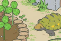 ����������ţ���ڹꡢ�۷�ϲ����ʲô ���������д�ʲô