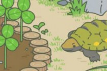 �������ܺ�������ţ���ڹꡢ�۷�ϲ����ʲôʳ��