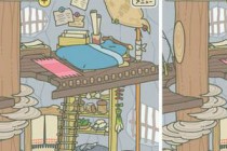 ������������ĵ�����ʲô��; ����Ӧ��ע�������