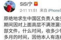 ���������й�������������ɳ�����˾�����ļ� Ŵ�׽�ϴ��