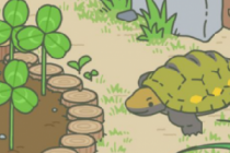 ����������ţ/�ڹ�/�۷�����ιʲô ��ţ/�ڹ�/�۷�ϲ����ʲô