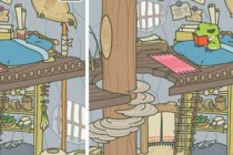 �������ܳ���13�ֵ�����;���� ��������ÿ����ʲô