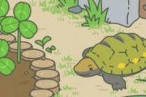 �������ܺ�����������ô�չ� ��ţ�۷亣��ϲ����ʲô