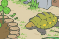 ������������������ô��/��ô�д� ����������ţ���ڹꡢ�۷�ϲ����ʲô 