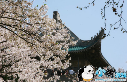 2019武汉大学樱花节门票多少钱 武汉大学樱花节攻略 2019武汉大学樱花节门票多少钱 武汉大学樱花节攻略