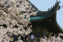 2019�人��ѧӣ������Ʊ����Ǯ �人��ѧӣ���ڹ���