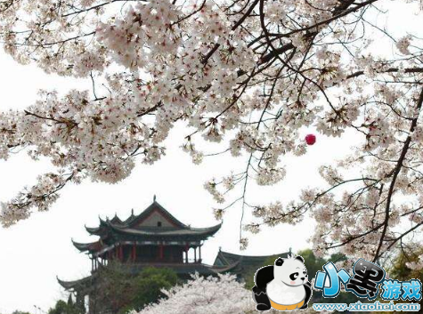 2019���ӣ����������͵� ��Ʊ����Ǯ/ӣ����ʲôʱ��