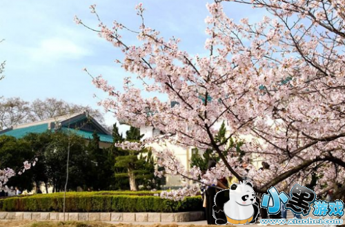 2019���ӣ����������͵� ��Ʊ����Ǯ/ӣ����ʲôʱ��