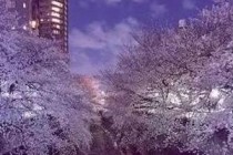 2019���˸�Ů�ڷ�����ʦ�Ķ���ף����100�� �ж�ף�����ȫ