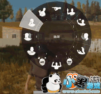 ���������Լ����԰����12�ֱ��鶯ͼһ��