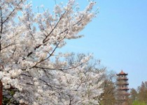 2019�人��ѧӣ����ԤԼʱ���ַ ��13-20������
