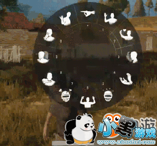 ���������Լ����԰����12�ֱ��鶯ͼһ��