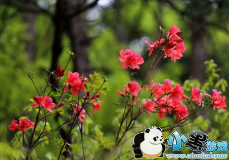 2019清明节学校放假吗 2019年清明节可以买学生票吗 2019清明节学校放假吗 2019年清明节可以买学生票吗