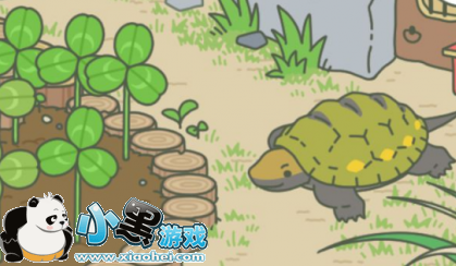 蜗牛蜜蜂海龟喜欢吃什么 旅行青蛙好朋友来了怎么招待 蜗牛蜜蜂海龟喜欢吃什么 旅行青蛙好朋友来了怎么招待