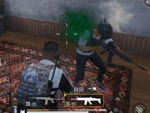 ���������̼�ս��������ߵľѻ�ǹKAR 98