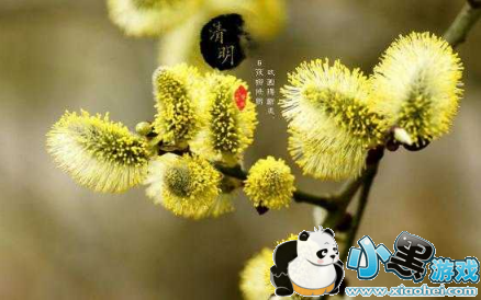 2019清明节朋友圈应该怎么发祝福 清明节祝福语 2019清明节朋友圈应该怎么发祝福 清明节祝福语