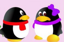 QQ̹��˵��ô����˭���� ƻ���ֻ�qq̹��˵�ƽ�̳�