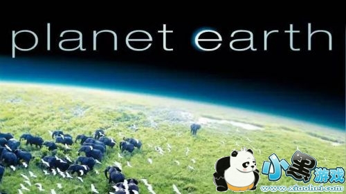 BBC纪录片造假是怎么回事/哪几部是假的 BBC纪录片造假原是自家拆穿 BBC纪录片造假是怎么回事/哪几部是假的 BBC纪录片造假原是自家拆穿