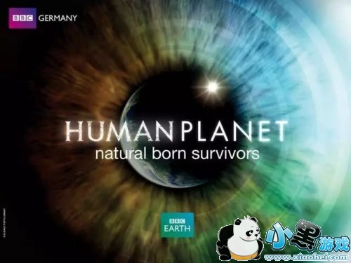 BBC纪录片造假是怎么回事/哪几部是假的 BBC纪录片造假原是自家拆穿 BBC纪录片造假是怎么回事/哪几部是假的 BBC纪录片造假原是自家拆穿