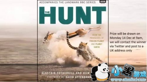 BBC纪录片造假是怎么回事/哪几部是假的 BBC纪录片造假原是自家拆穿 BBC纪录片造假是怎么回事/哪几部是假的 BBC纪录片造假原是自家拆穿