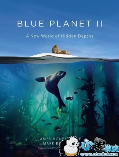 BBC纪录片造假是怎么回事/哪几部是假的 BBC纪录片造假原是自家拆穿 BBC纪录片造假是怎么回事/哪几部是假的 BBC纪录片造假原是自家拆穿