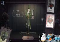 �����˸�ܿ�Ƥ��ͼ����ǳҶ��Ƥ��