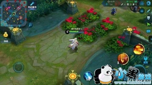 ������ҫõ�廨����ô��� ������ҫõ�廨��ʹ�÷���