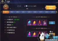 �����Ի��롷VIPϵͳ