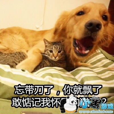 第五人格监管者压迫流怎么玩 第五人格监管者压迫流开局玩法攻略 第五人格监管者压迫流怎么玩 第五人格监管者压迫流开局玩法攻略