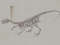 ͬһʱ 漣ůůԶŻʯݴ