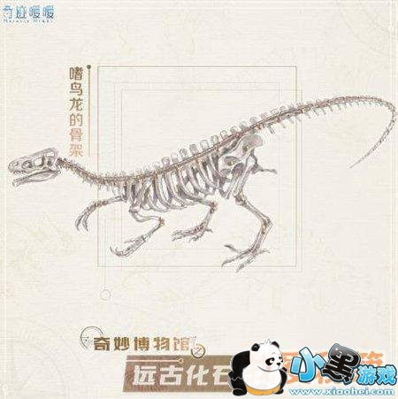 下列哪种生物曾经与恐龙生活在同一时代 奇迹暖暖奇妙博物馆远古化石馆答案 下列哪种生物曾经与恐龙生活在同一时代 奇迹暖暖奇妙博物馆远古化石馆答案