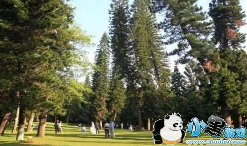 2019��һ�Ͷ��ڷżټ��� 2019��һ�Ͷ��ڸ�����Ѱ���