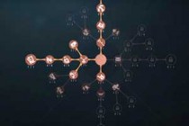 �����˸�֩���츳�ӵ�ͼ ֩����ô�ӵ�