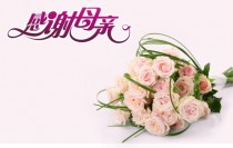 2019ĸ�׽��Ǽ��� ΢������Ȧĸ�׽�ף����