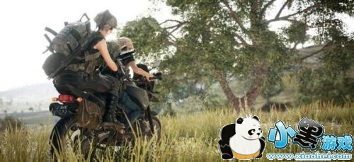 524ոʲô 20195.24ٷݹ ־һ