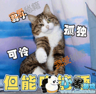 ��լ��������ʲô��˼ ��լ��������ʲô�� ��լ�����ޱ����