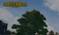 ���������̼�ս�������ļ��һ�ʲô��ã����ֱؿ���ʲô����