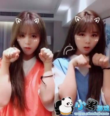 抖音学猫叫音乐 抖音学猫叫什么歌 抖音学猫叫音乐 抖音学猫叫什么歌