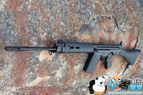 SLRô ¾SLRʹü SLRô