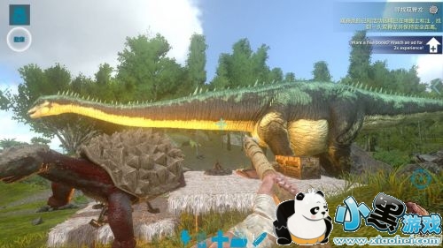 ������������ֻ����ڹ갰��ô�� ������������ֻ����ڹ갰������������