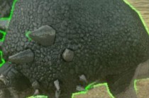 ������������ֻ���ʯͷ��ô�� ������������ֻ���ʯͷ���ٲɼ���������