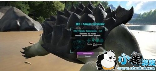 方舟生存进化手机版哪些宠物值得培养 方舟生存进化手机版宠物培养解析 方舟生存进化手机版哪些宠物值得培养 方舟生存进化手机版宠物培养解析