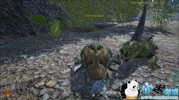 方舟生存进化手机版什么龙有用 方舟生存进化最有用六种恐龙与驯服解析 方舟生存进化手机版什么龙有用 方舟生存进化最有用六种恐龙与驯服解析