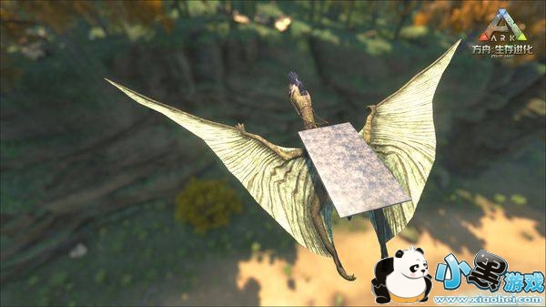 方舟生存进化手机版什么龙有用 方舟生存进化最有用六种恐龙与驯服解析 方舟生存进化手机版什么龙有用 方舟生存进化最有用六种恐龙与驯服解析