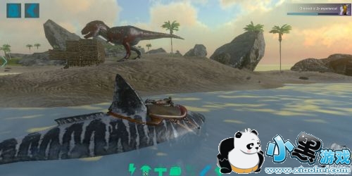 方舟生存进化手机版物品代码有哪些 全物品代码指令大全解析 方舟生存进化手机版物品代码有哪些 全物品代码指令大全解析